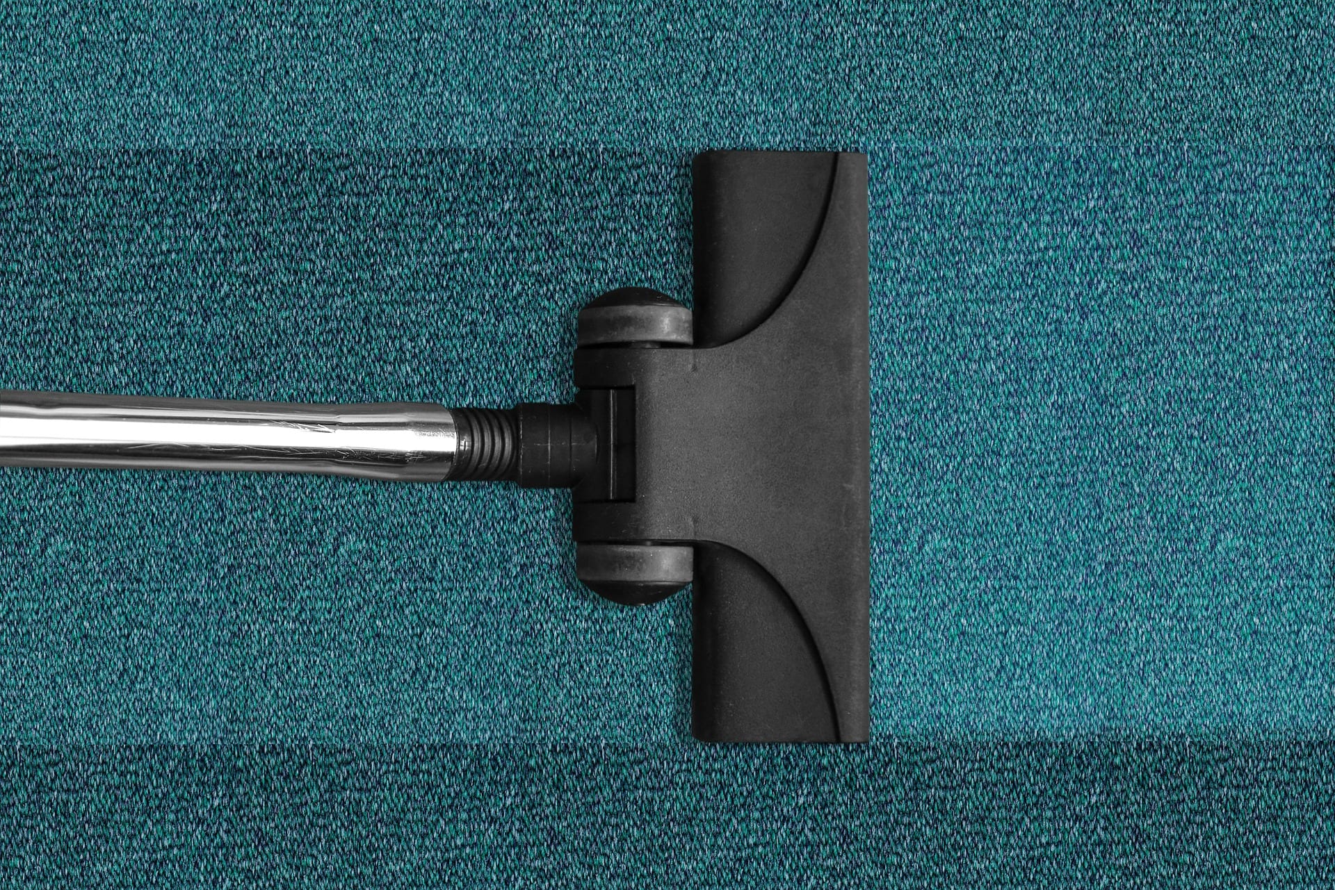 Vacuum Cleaner on Carpet