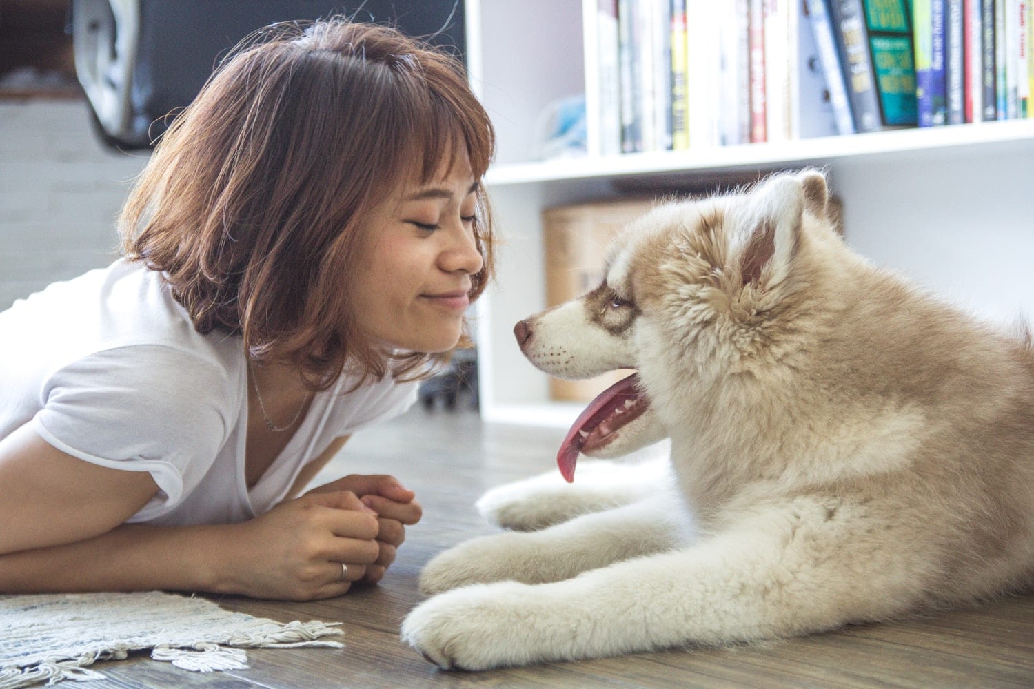 Girl and dog on carpet