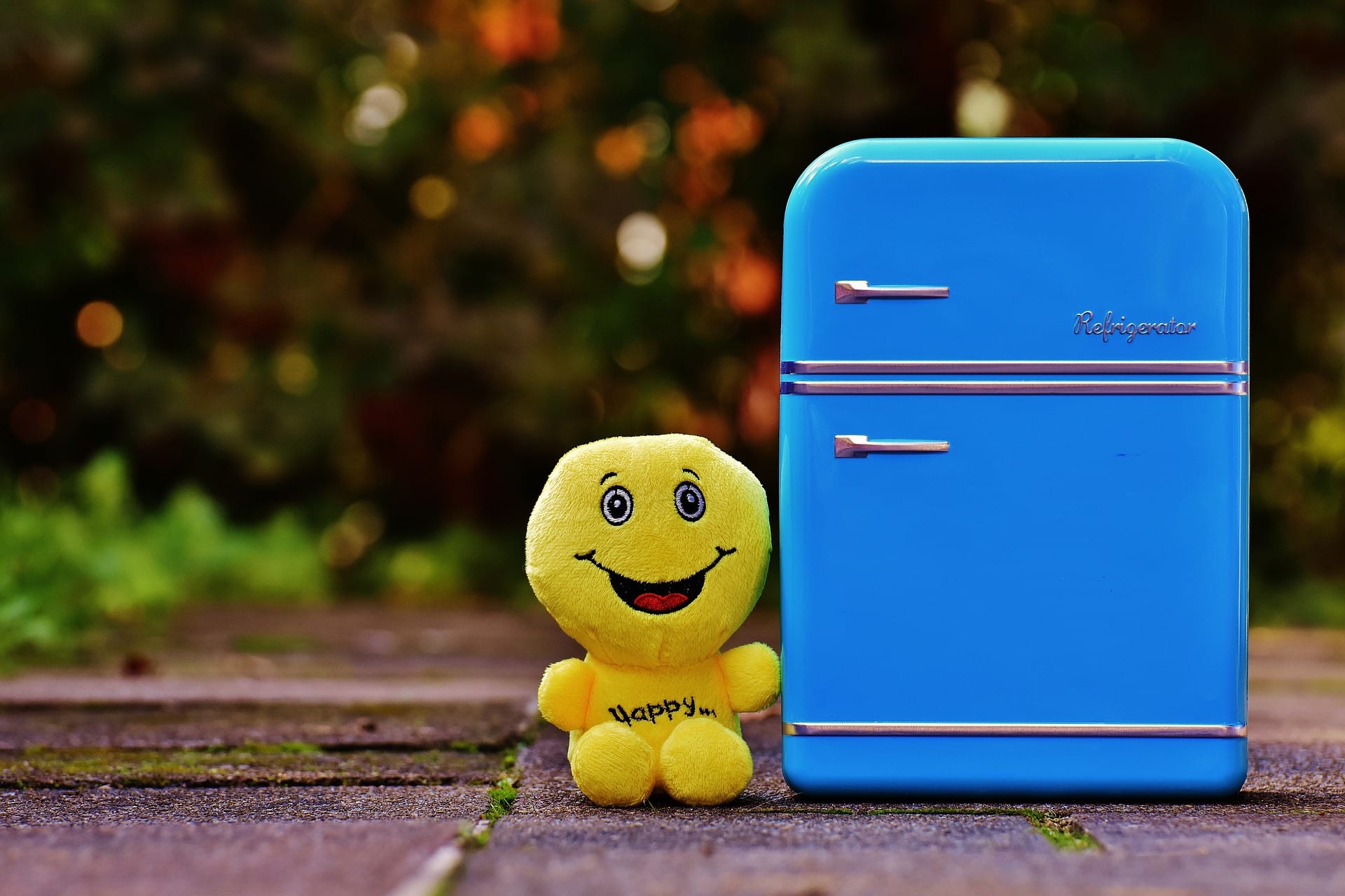 Smiling doll next to blue fridge